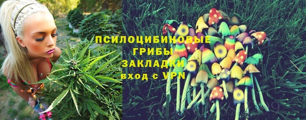 mdma Бородино