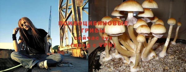 тгк Бугульма