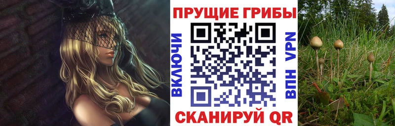 Псилоцибиновые грибы мицелий  Купить где  Данков 